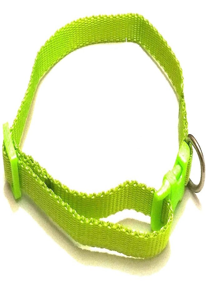 Pet Guard Company Cat Collar with Bell, Green (X-Small) - Image 1